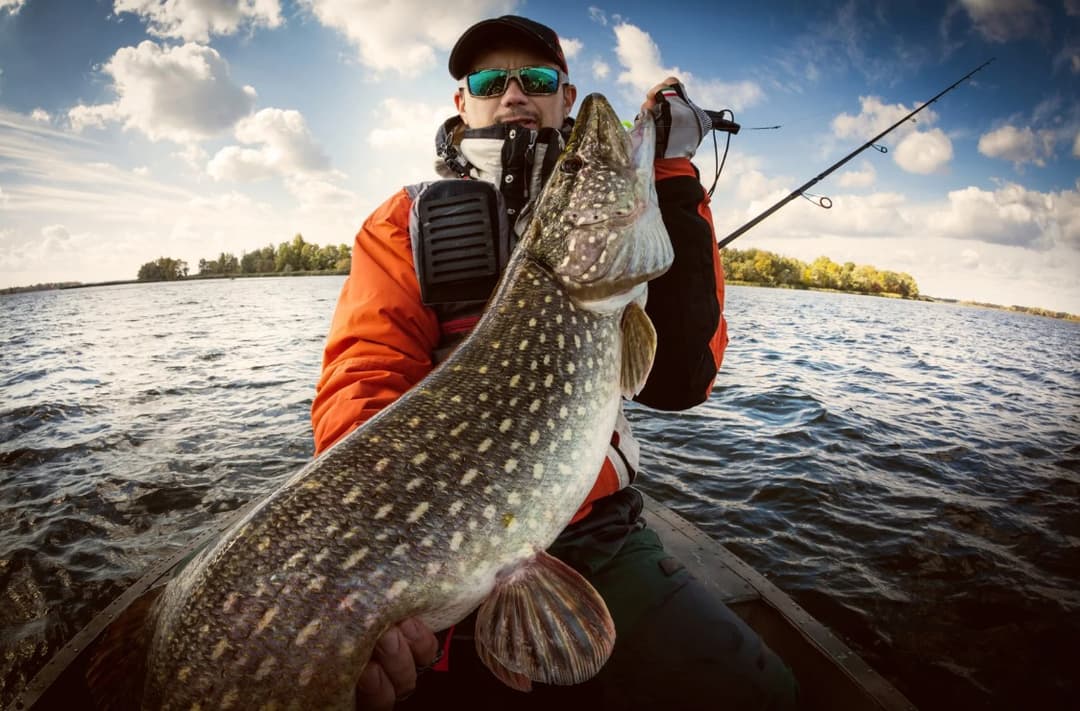 Hecht 2 | Picture of Pike Fishing in Finland: How to Find the Hotspots