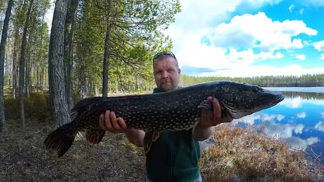 matti-pasanen