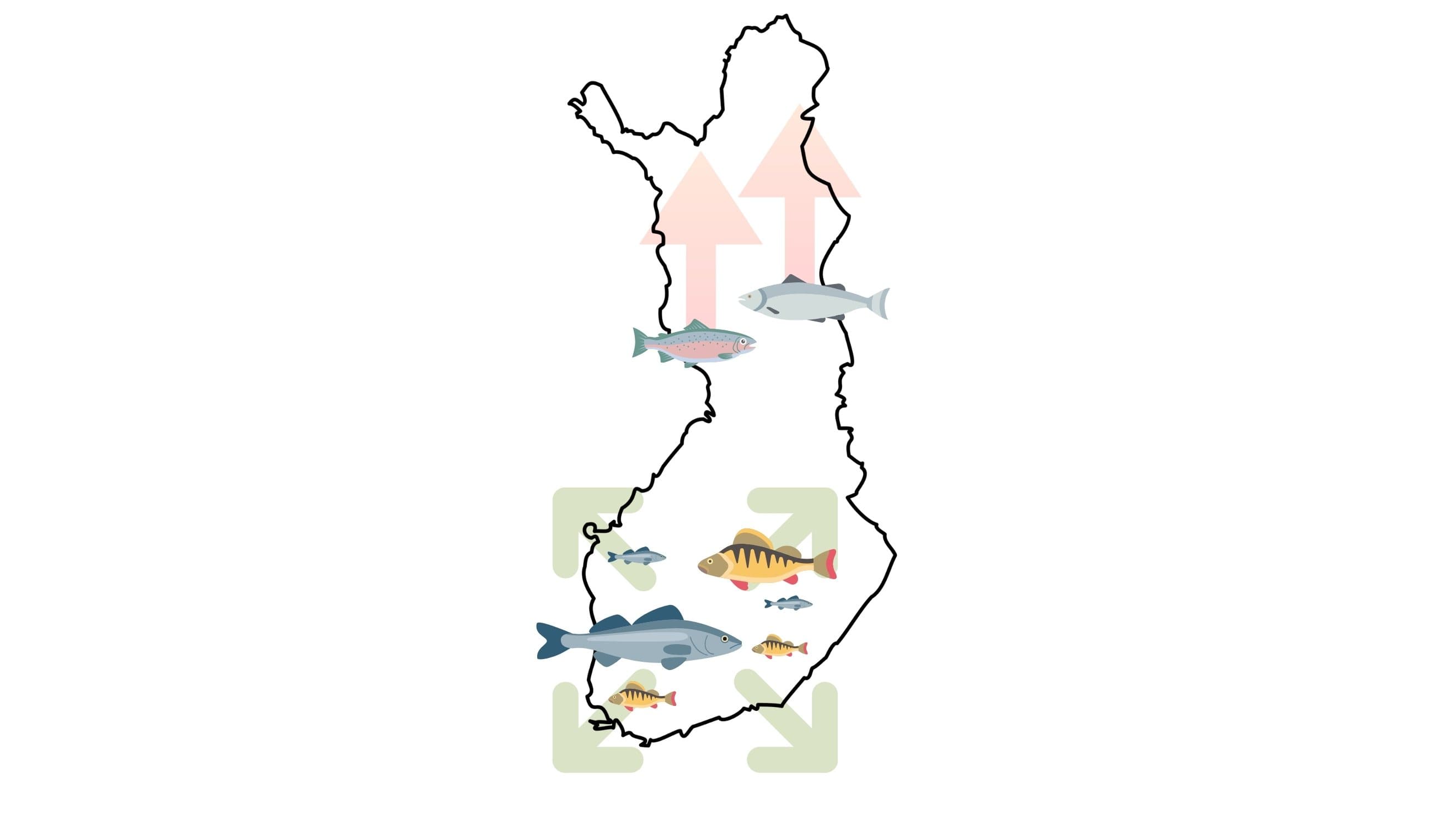 fischbewegung