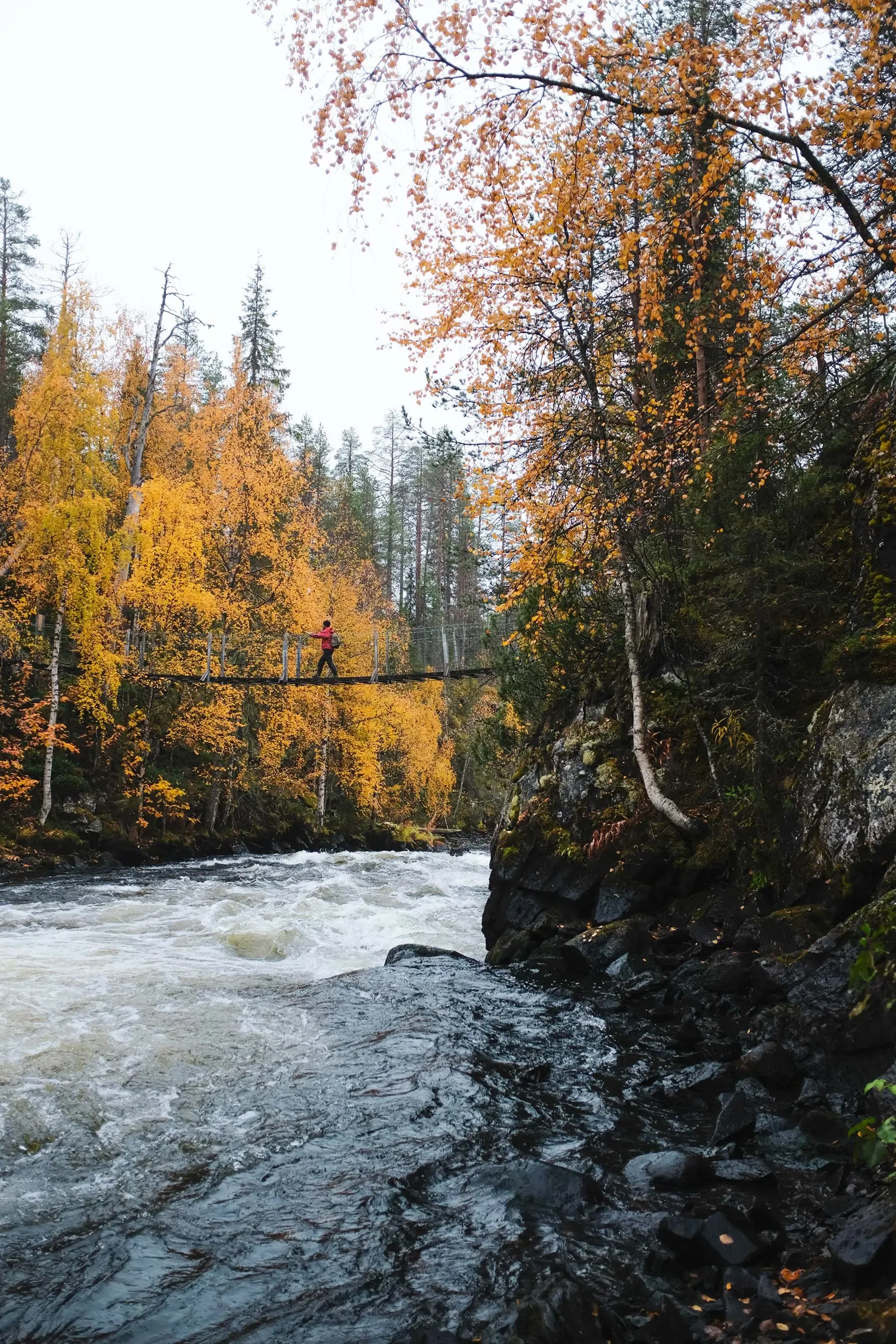 Lappland