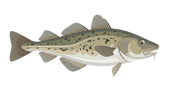 Kabeljau