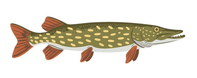 Pike