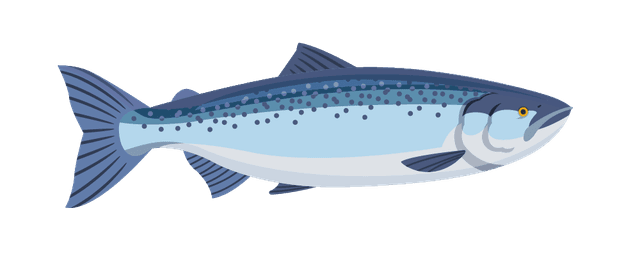 Lachs