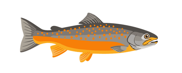 Arctic Char