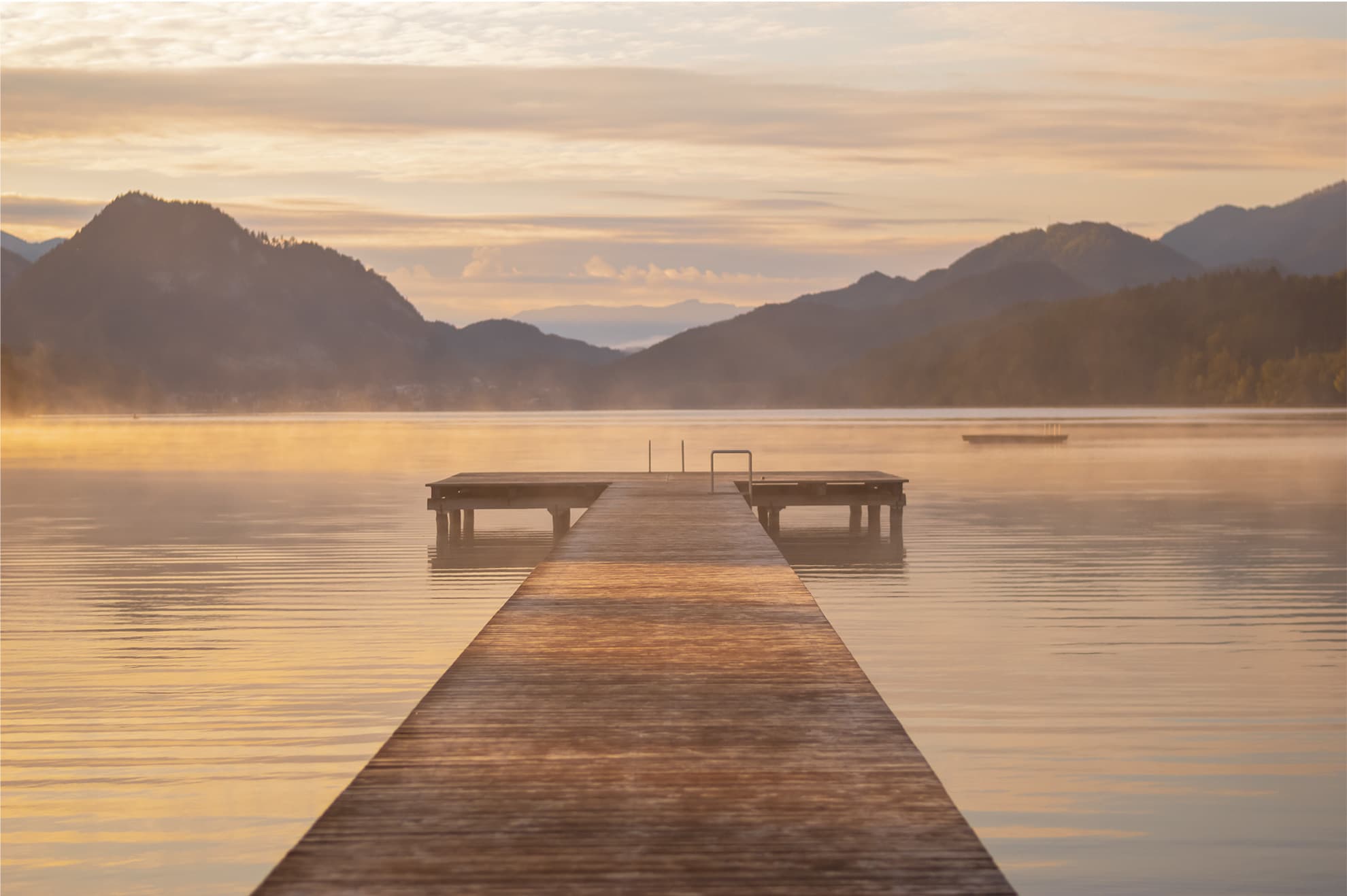 Hero image Search Page